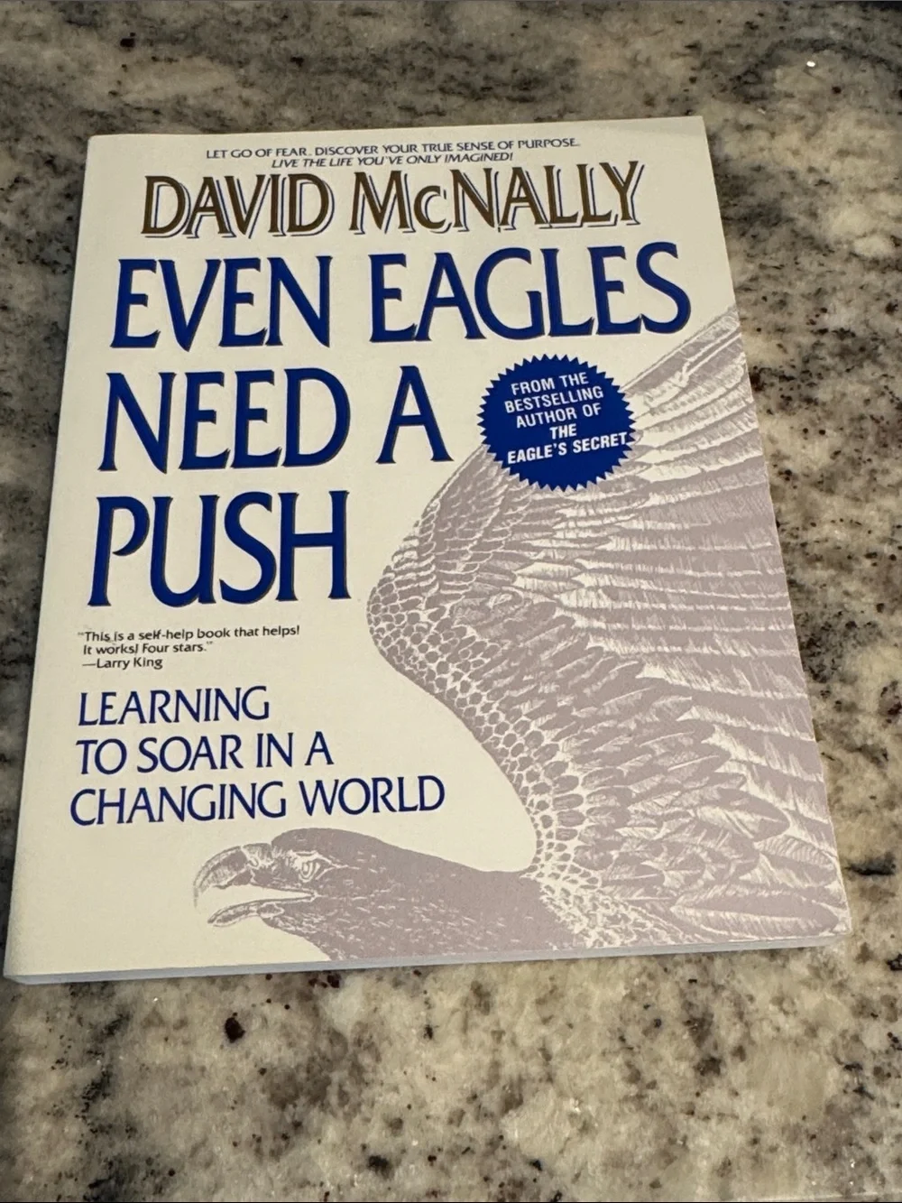 Even Eagles Need a Push - David McNally. Paperback